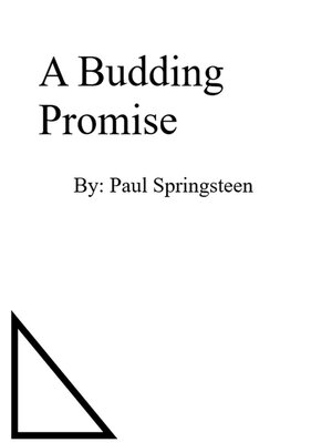 cover image of A budding Promise